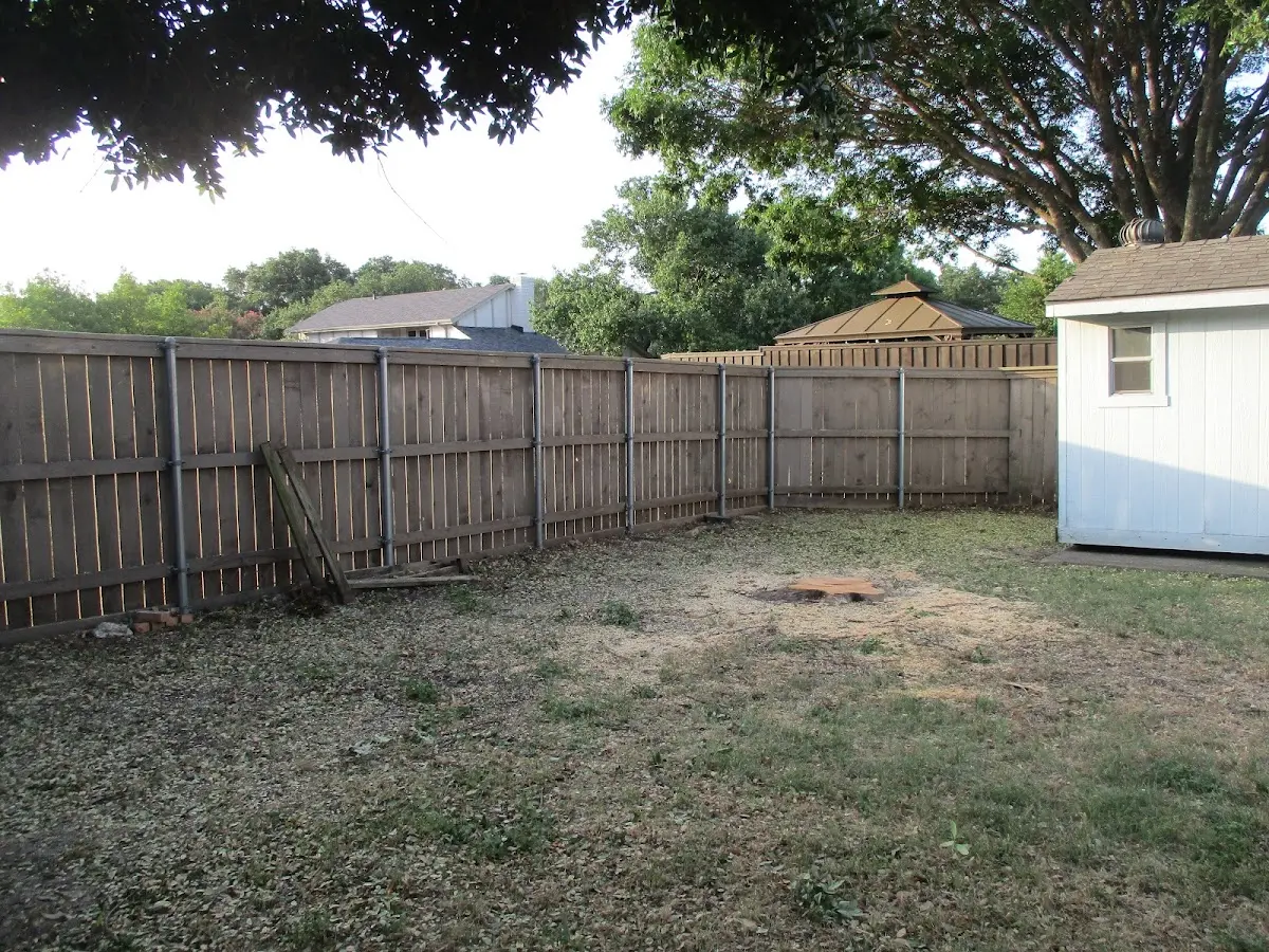 Cleared yard after professional tree removal in Renovo